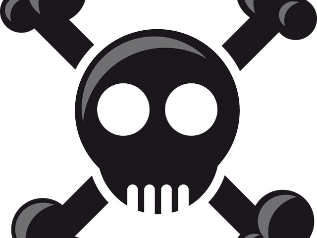 Deadth Clipart Pirate Skull - Death Head Png Transparent Png (640x480), Png Download