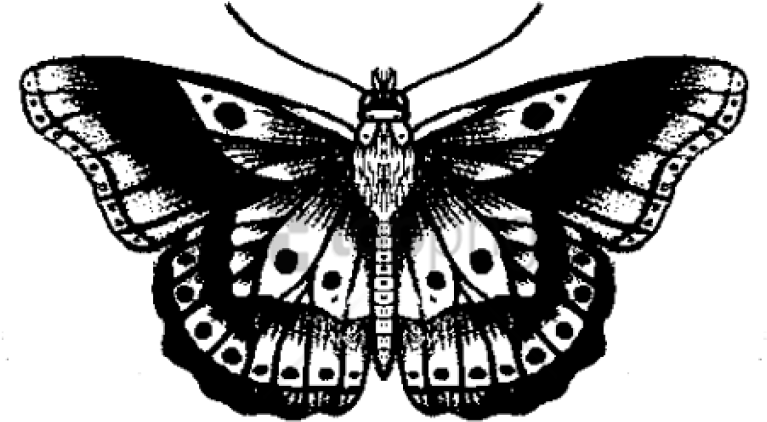 Free Png Vintage Butterfly Tattoo Png Image With Transparent - Tattoos Png Harry Styles Clipart (850x713), Png Download