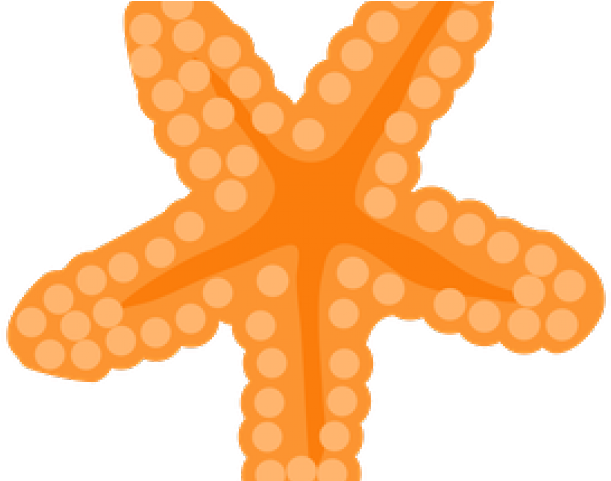 Estrela Do Mar Sereia Clipart (640x480), Png Download