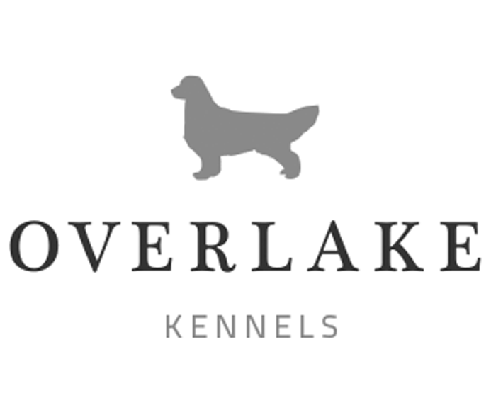 Dog Kennel Design - Golden Retriever Clipart (800x800), Png Download