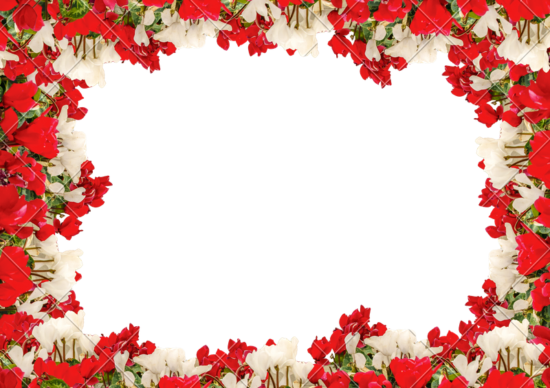 Latest White Landscape Background With Flowers Borders - Stock Photography Clipart (800x565), Png Download