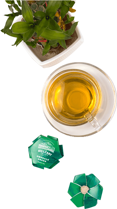Green Top - Beer Bottle Clipart (800x800), Png Download