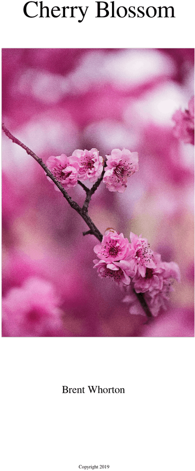 Cherry Blossom Sheet Music For Flute, Clarinet, Oboe, - Cherry Blossom Clipart (850x1100), Png Download