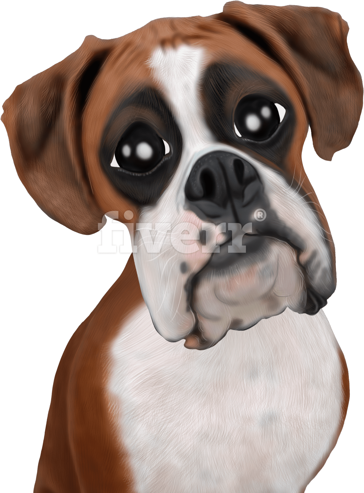 Big Worksample Image - Boxer Clipart (1200x1697), Png Download