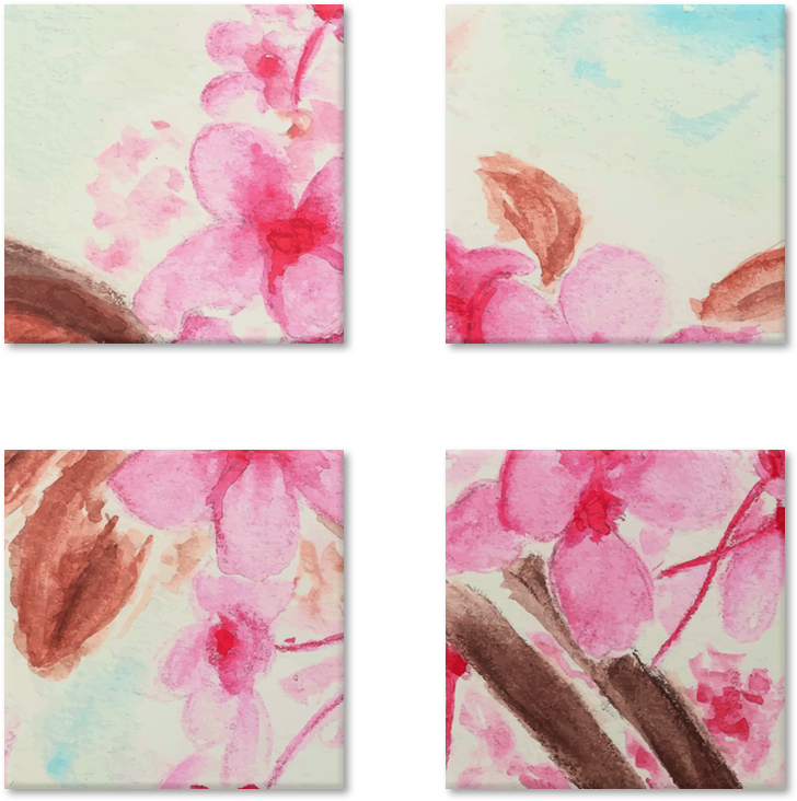 Magneto Flores De Drisa Lojana - Impatiens Clipart (728x732), Png Download