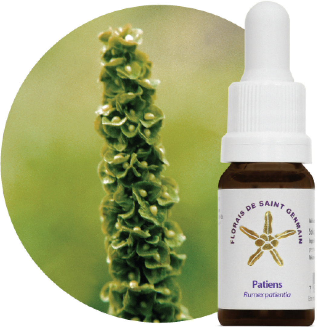 Mais Imagens Clipart (1200x1200), Png Download