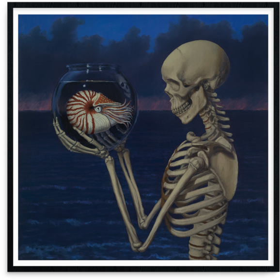 Skeleton Of Nautilus Clipart (600x600), Png Download