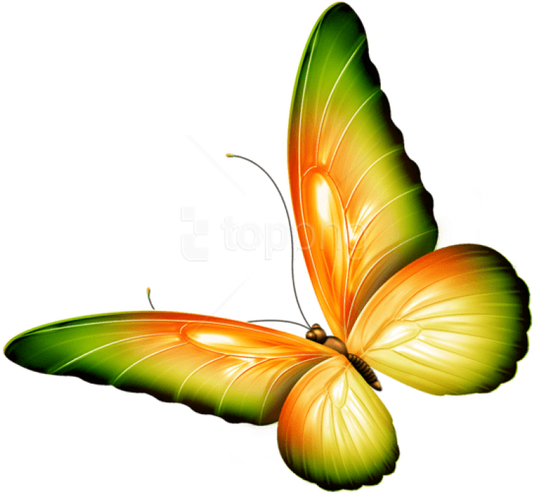 Free Png Download Yellow And Green Transparent Butterfly - Transparent Background Butterfly Clipart (850x787), Png Download