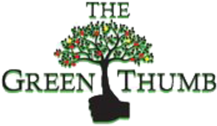 Jasmine James Fake Taxi - Bonsai Clipart (800x800), Png Download