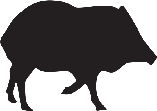 2019 Javelina / Turkey Hunting Rates - Buffalo Sticker Clipart (600x600), Png Download