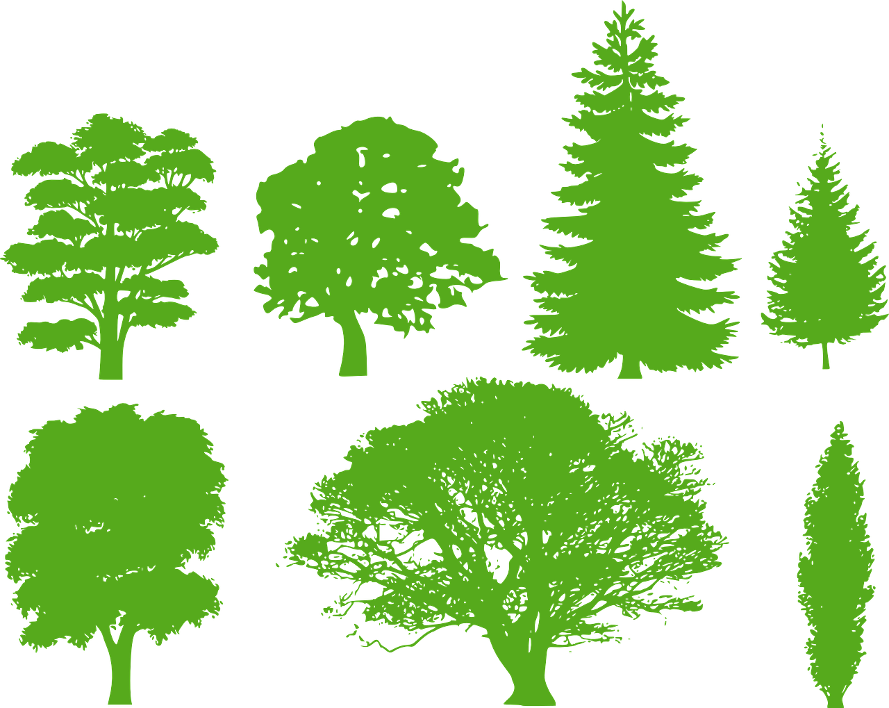 Tree Silhouette Vector Clipart (1280x1019), Png Download