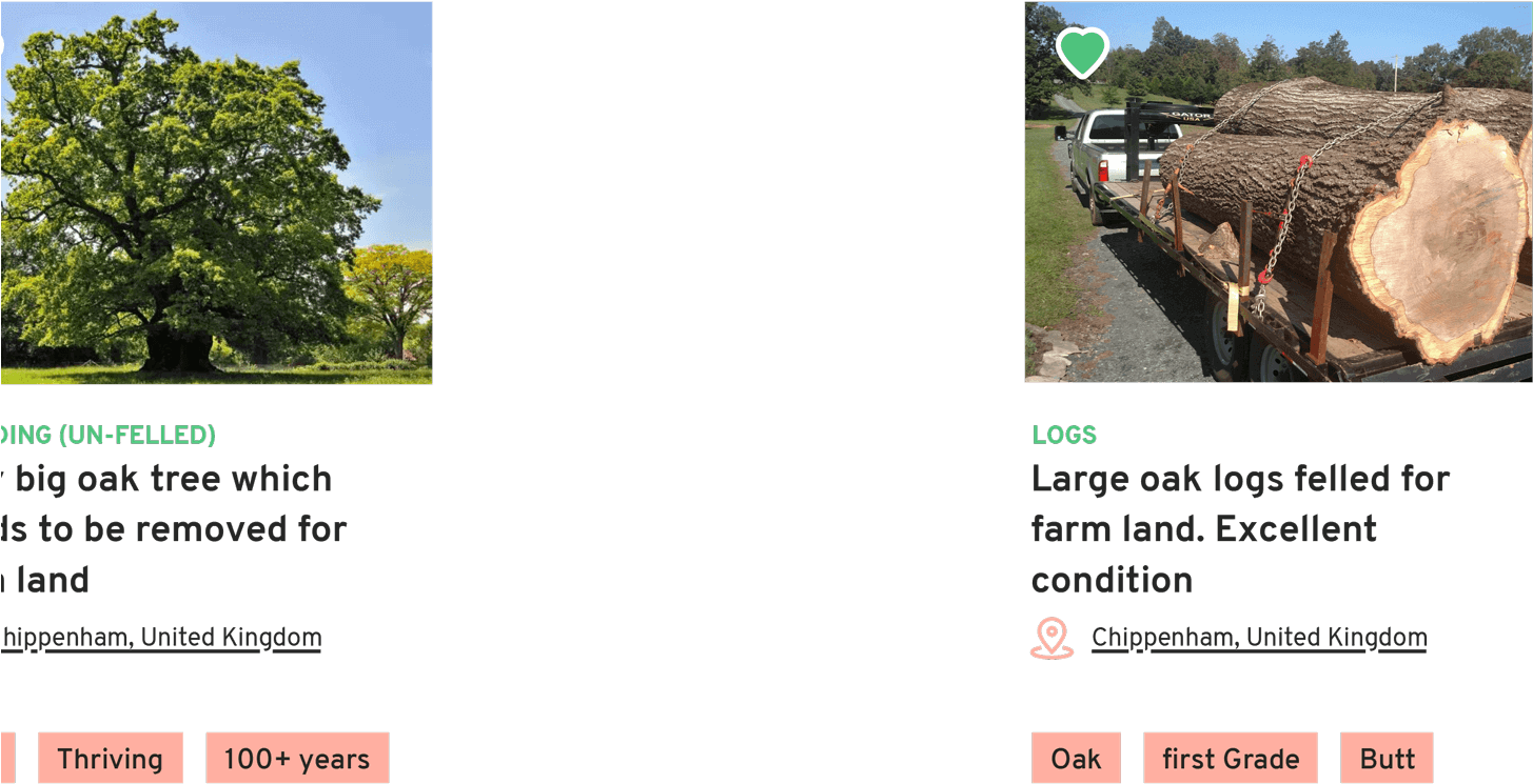 Trees And Timber Desktop Layer - Tree Clipart (1455x745), Png Download