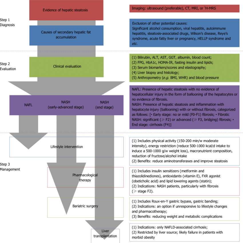 Clinical Algorithm For The Diagnosis And Management - Diagnosis And Management Of Nonalcoholic Liver Disease Clipart (850x848), Png Download