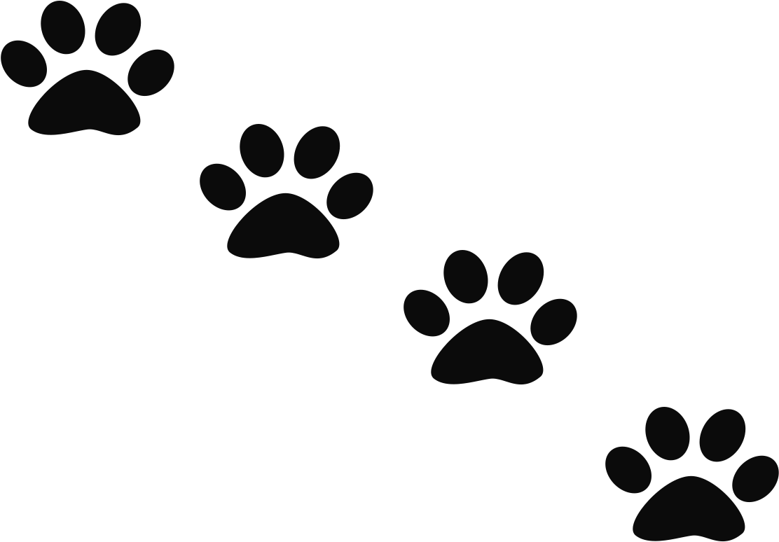 Pawprint - Paw Print Facebook Cover Clipart (1159x812), Png Download