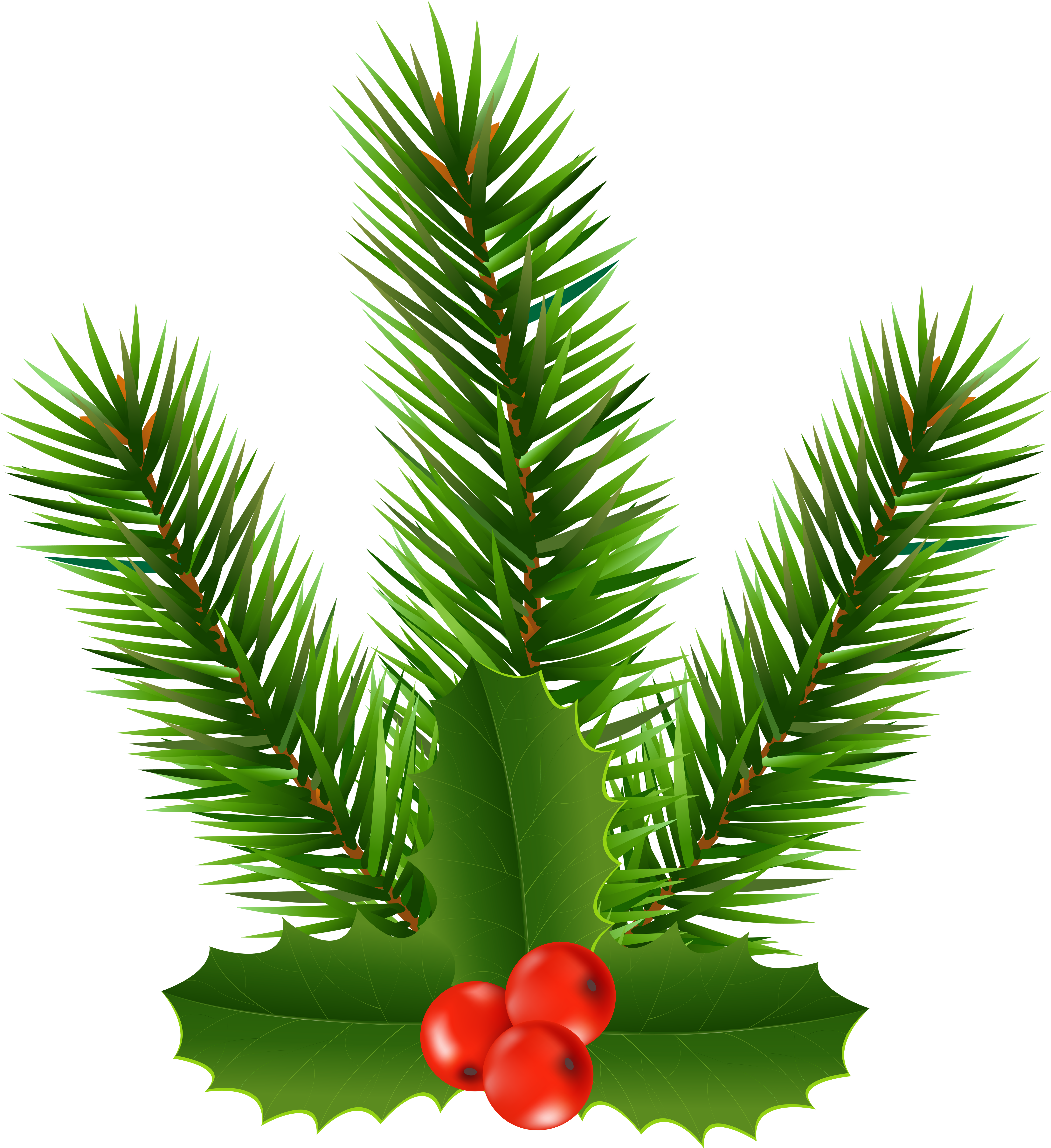 Pine Branch With Holly Clip Art Image - Christmas Tree - Png Download (5500x6000), Png Download
