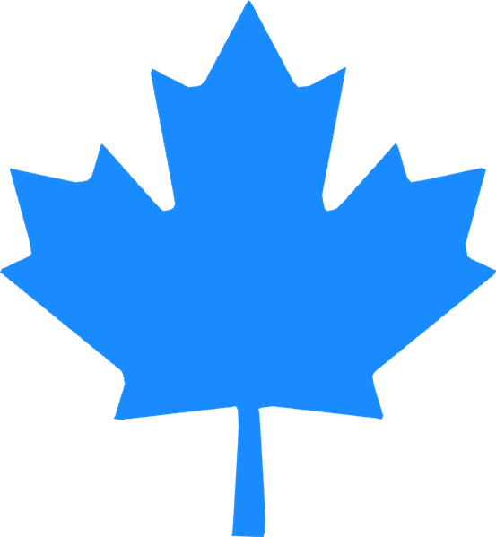 Procan Maple Leaf - Canadian Maple Leaf Png Clipart (553x599), Png Download