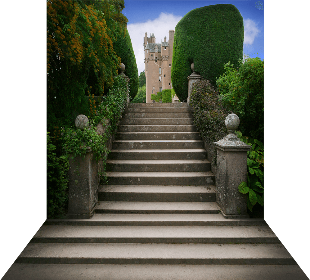 Steps Background - Steps Backgrounds Clipart (1000x1003), Png Download