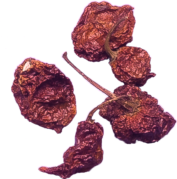 Carolina Reaper Png - Sultana Clipart (700x700), Png Download