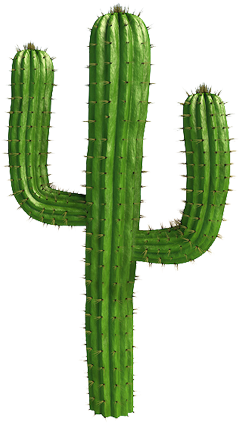 Saguaro Cactus Vector - Cactus Png Clipart (909x909), Png Download
