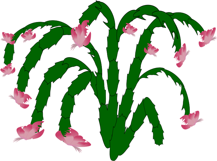 Cactus Man Free Plant-03 - Illustration Clipart (800x800), Png Download