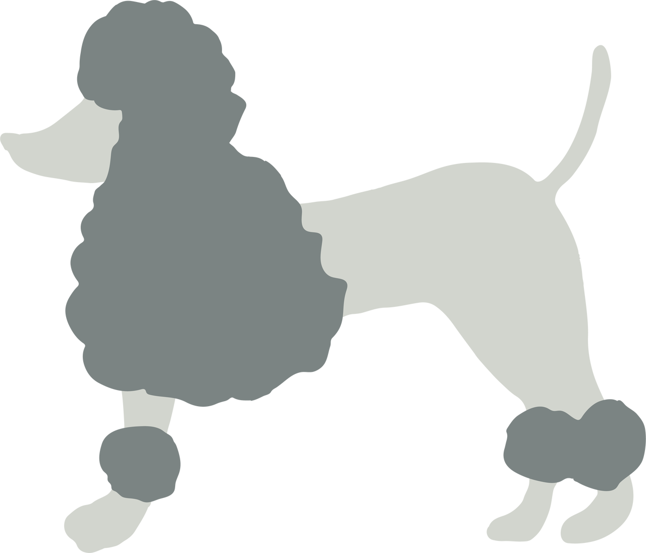 Poodle Svg Cut File - Miniature Poodle Clipart (1280x1096), Png Download