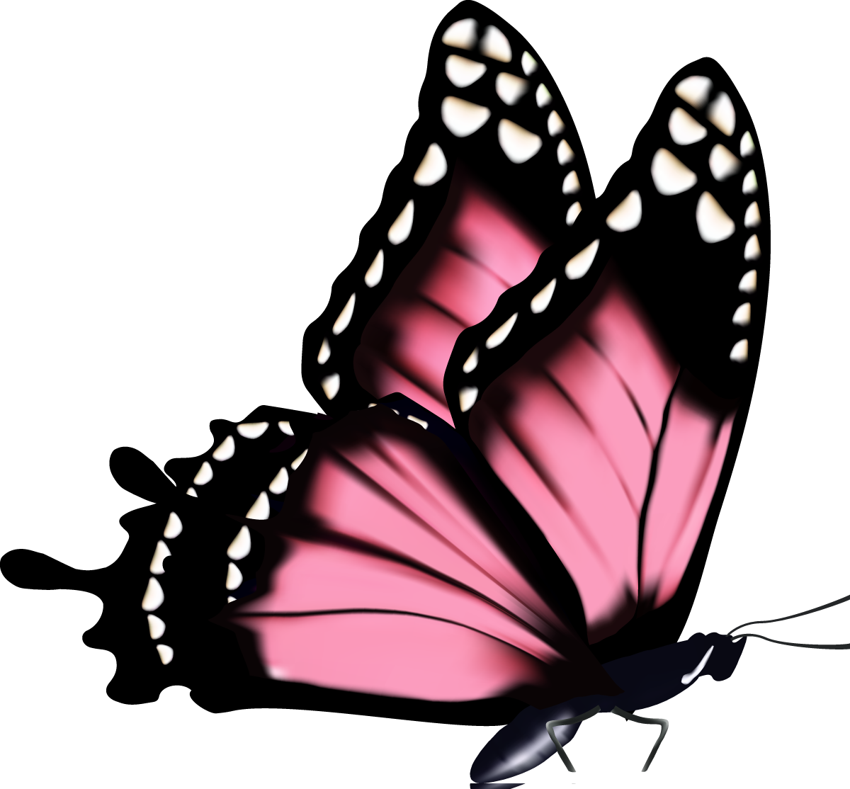 Pink Butterflies Png - Dibujo Mariposa Con Flores Clipart (1200x1114), Png Download