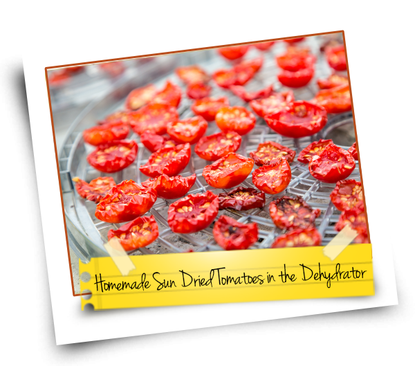 Homemade Sun Dried In The Dehydrator Kitchen - Food Drying Clipart (600x529), Png Download