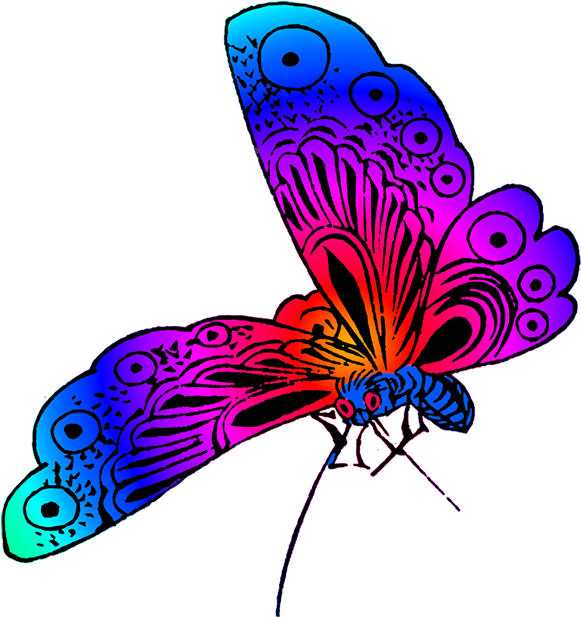 Indigo Clipart Butterfly Wing - Different Color Of Butterfly - Png Download (640x650), Png Download