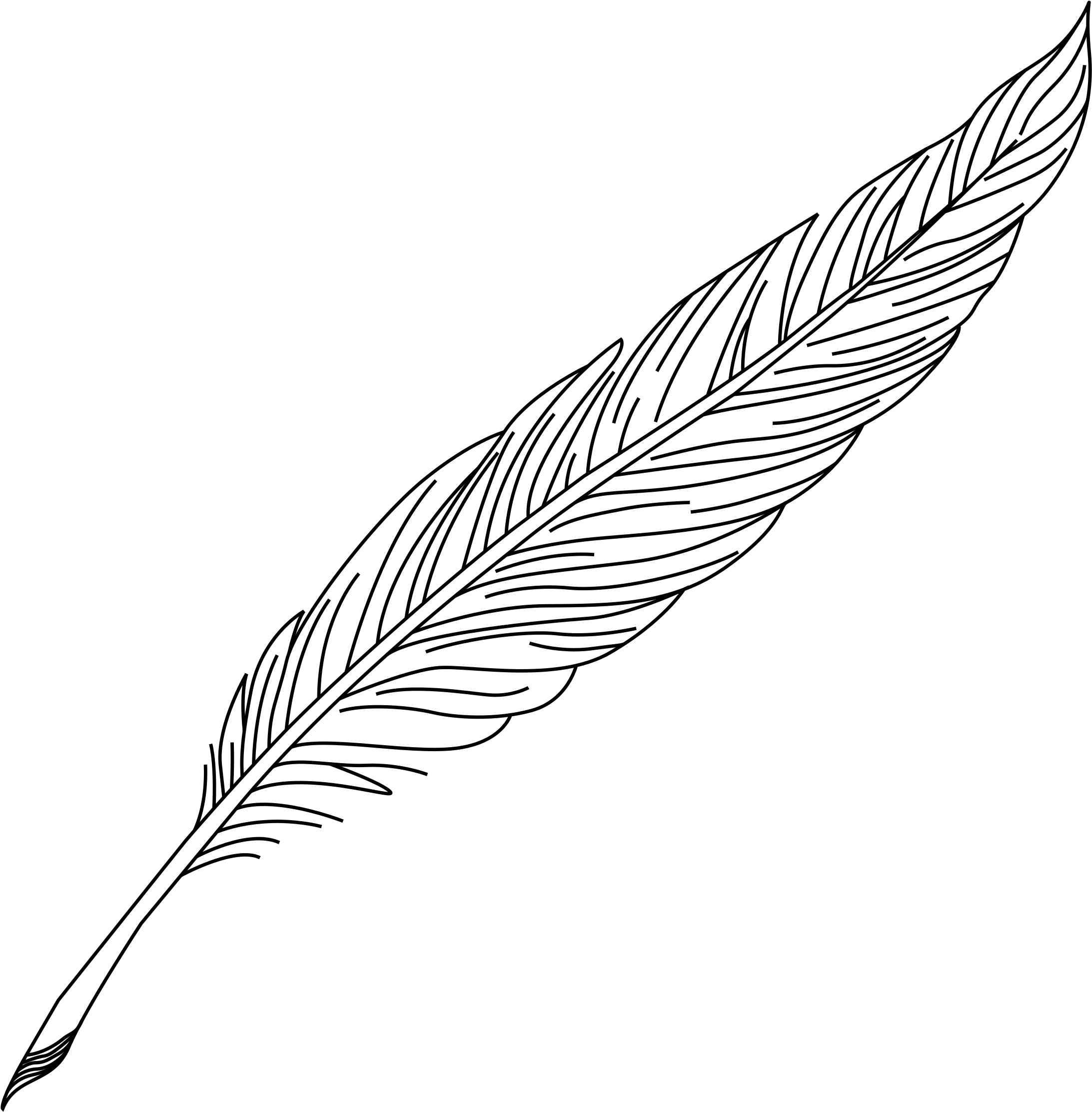 Перо рисунок png