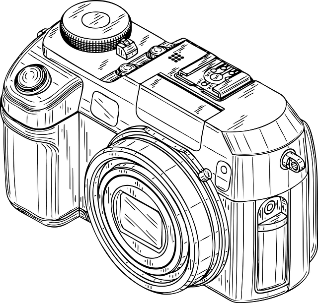 Digital Camera Buying Guide - Digital Camera Clip Art - Png Download (640x611), Png Download