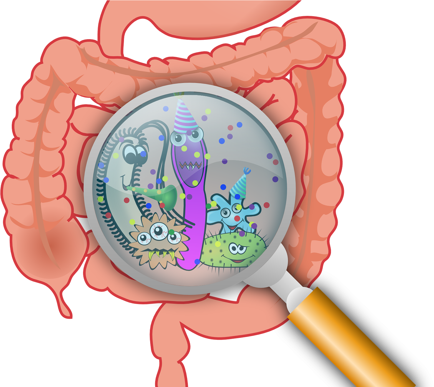 Researchers Find Bacteria Residing In Guts Of Mice - Trato Gastrointestinal Png Clipart (1483x1314), Png Download