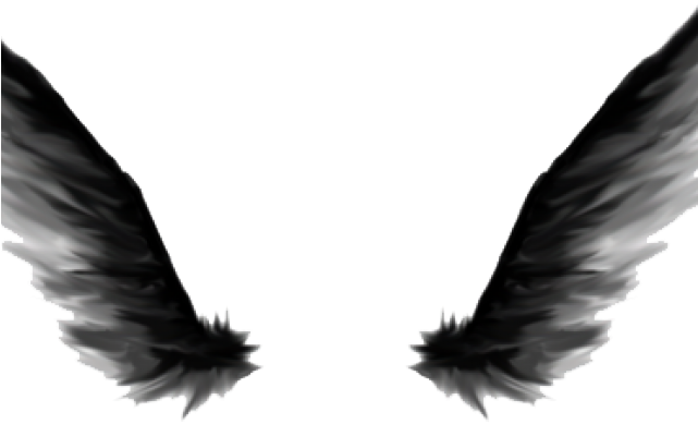 Dark Angel Clipart Real - Dark Angel Wings - Png Download (640x480), Png Download