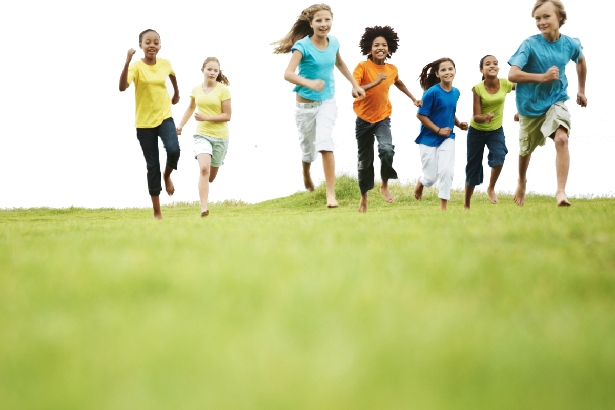 Survey & Review Clipart (1200x800), Png Download