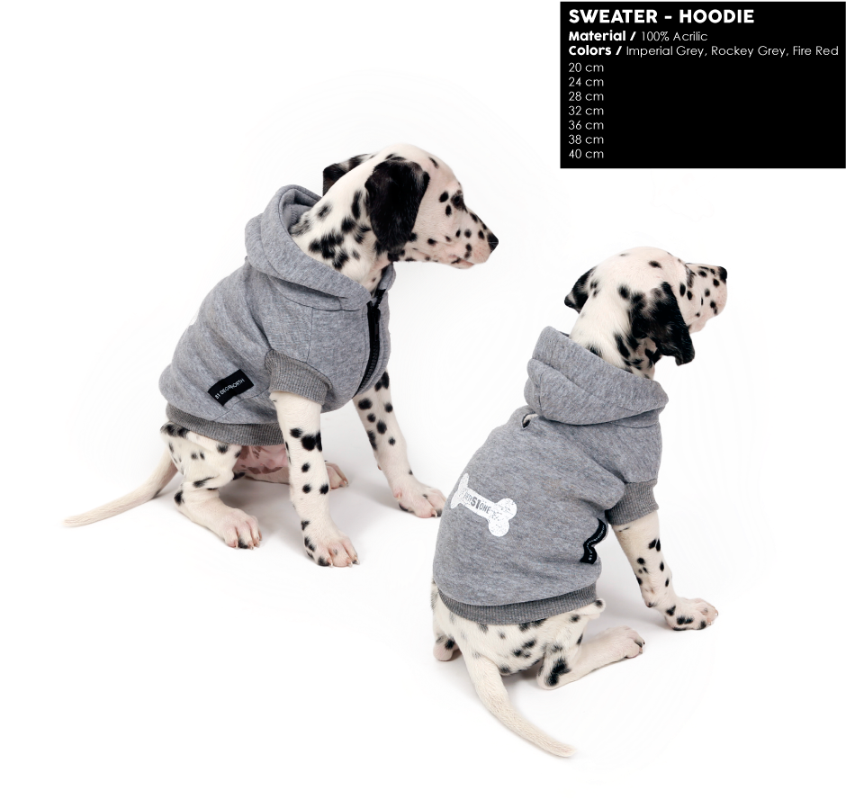 Minion Dog Costume - Dalmatian Clipart (1000x933), Png Download