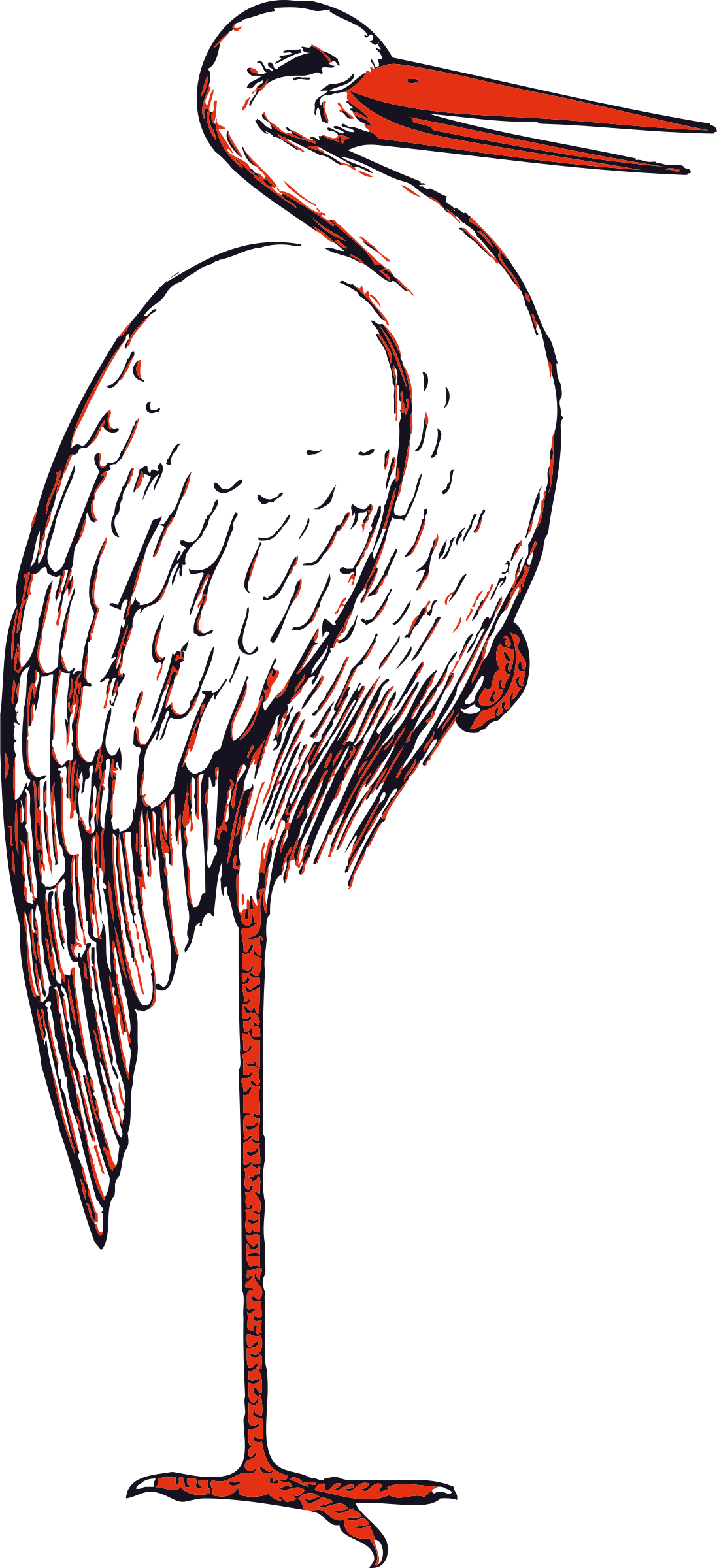 Body Builder Clipart Illustration Image Stork Clipart - Stork Clip Art - Png Download (1097x2400), Png Download
