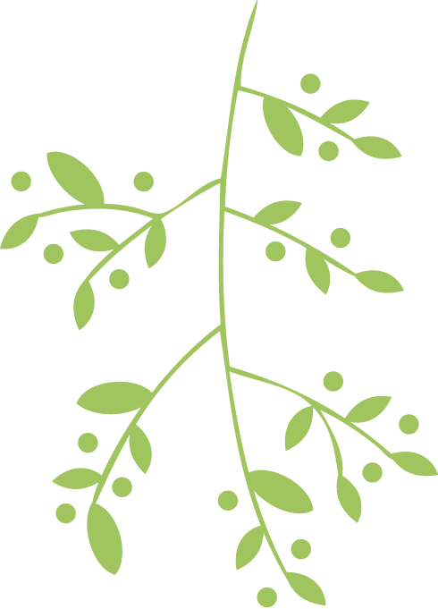 Vector-top - Herbal Vector Png Clipart (490x681), Png Download