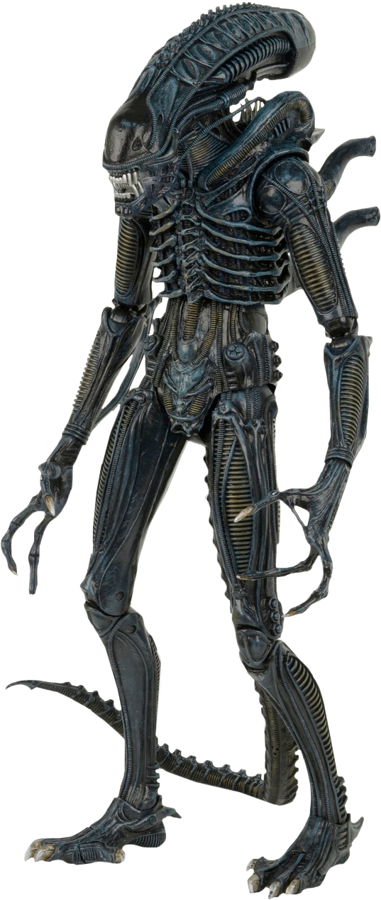 Alien Warrior 1/4 Scale Action Figure - Aliens Neca Xenomorph Warrior Clipart (537x1268), Png Download