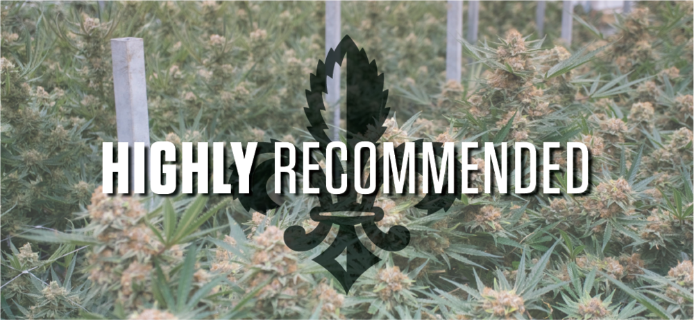 Roy Homepage-header - Plantation Clipart (1000x462), Png Download