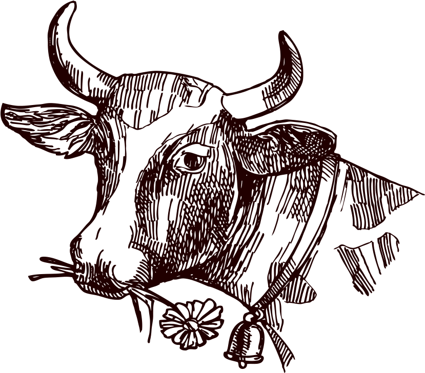 Image Freeuse Stock Texas Longhorn Milk Sketch Cow - Cattle Clipart (1000x1000), Png Download