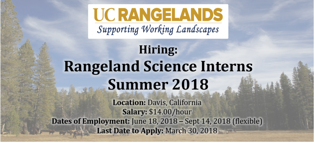 Job Announcements - Parul Institute Clipart (1024x466), Png Download