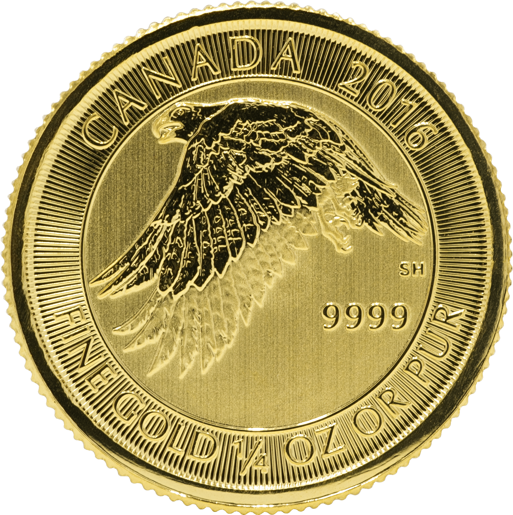 Gold Canadian Gyrfalcon 1/4 Oz - Canada 2016 1 4 Oz Gold Snow Falcon Clipart (1785x1705), Png Download