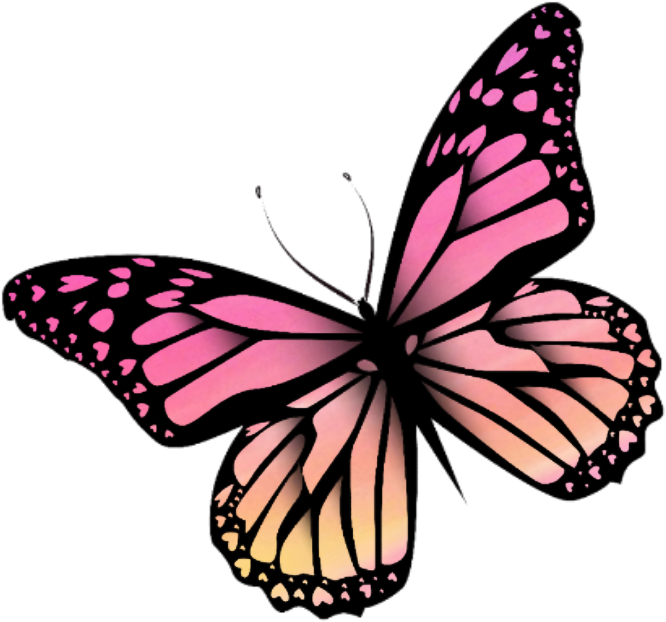 #butterfly #mariposa #monarch #monarca #nature #naturaleza - Butterfly Monarcas Clipart (725x682), Png Download