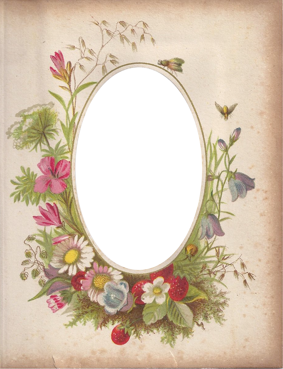 Victorian Photo Album Frame ~ Zibi Vintage Scrap - Victorian Flower Borders And Frames Clipart (920x1200), Png Download