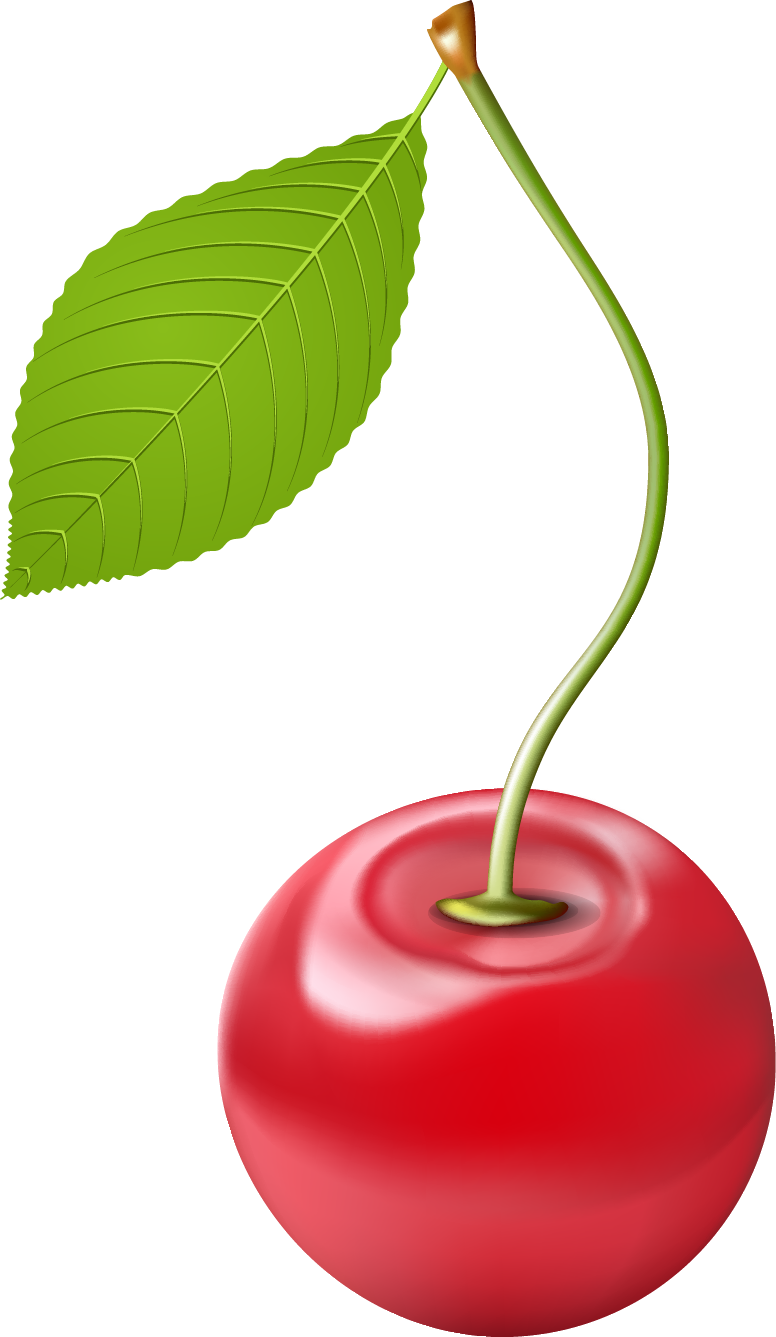 Cherry Clipart Png Image - Cherry Transparent Png (776x1337), Png Download
