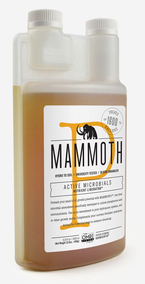 Skunk , Png Download - Skunk Clipart (493x965), Png Download