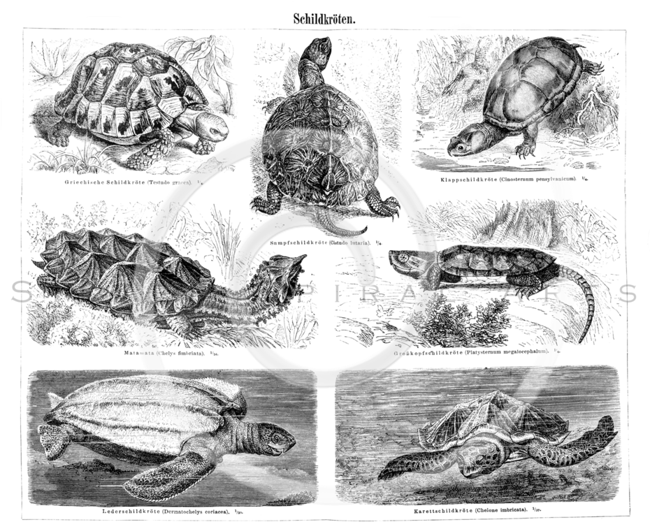 Silver Spiral Arts Clipart (929x768), Png Download