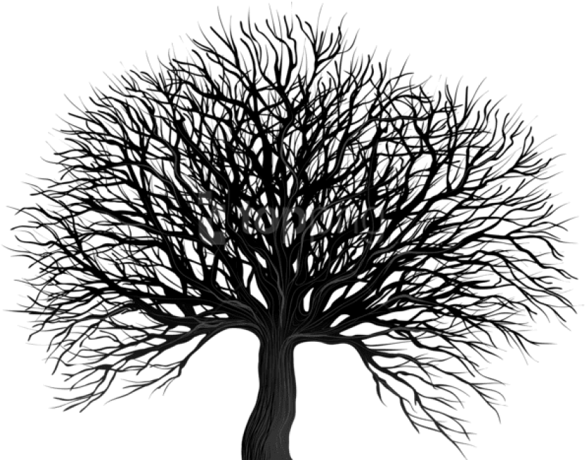 Free Png Download Black Tree Png Png Images Background - Transparent Background Black Tree Png Clipart (850x672), Png Download