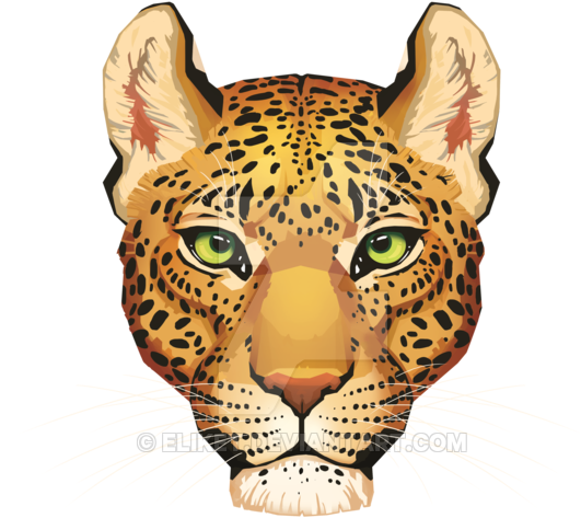 Leopard Face Png Download Image - Leopard Head Transparent Background Clipart (600x600), Png Download