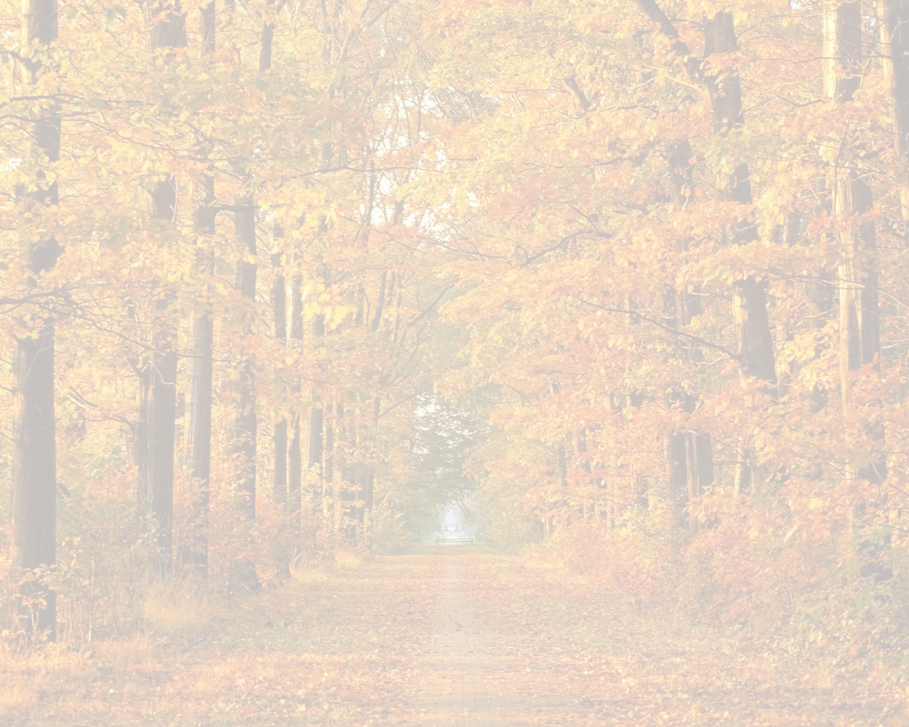 Autumn - Grove Clipart (1280x1024), Png Download
