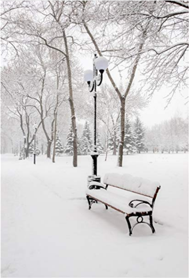 #background #winter #snow #christmas #sticker #ladymc - Winter Scenes With Snowy Tree And Bench Under Tree Clipart (1024x1024), Png Download